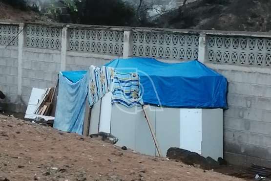 Chamizo pegado al campo municipal de Melenara/TA.